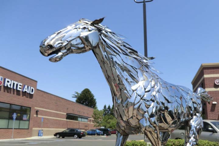 Near Sacramento 913 - panoramio