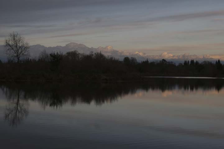 Lower American River-William Pond Park