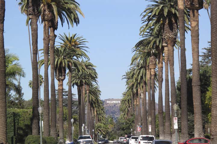 6th and Windsor view of Hollywood sign